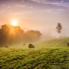 Misty morning